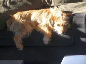 Conte und Benito-2010-1