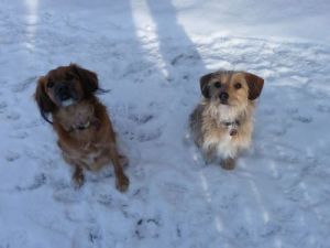 Conte und Benito-2010-2