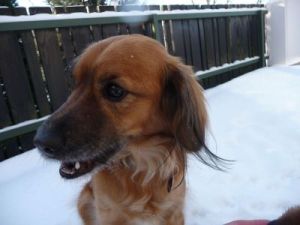 Conte und Benito-2010-4