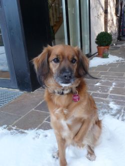 Conte und Benito-2010-5