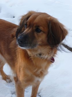 Conte und Benito-2010-6