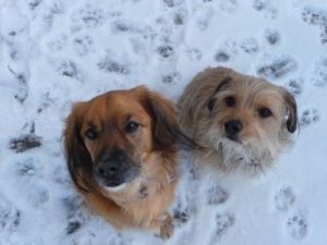 Conte und Benito-2010-7