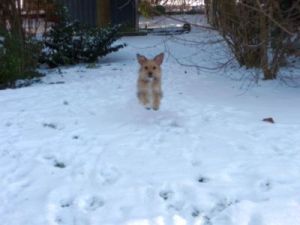 Conte und Benito-2010-9