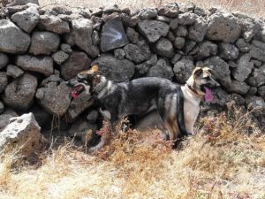 lola u susi mai 2009