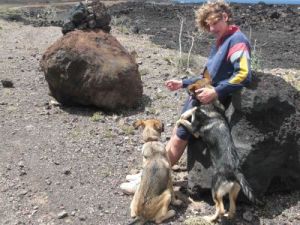 lola und susi und lauro